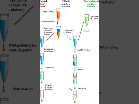 #rnaisolation #dnaseparation #plasmiddna #neetbiology #csirnetlifescience#gatelifesciences#icmrjrf