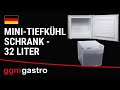 Mini-Tiefkühlschrank ECO - 32 Liter - mit 1 Tür - Schwarz
