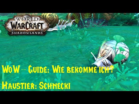 WoW-Guide: Wie bekomme ich das Haustier Schnecki? - Bauplan: Schnecki