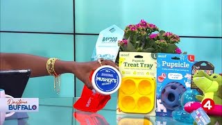 Daytime Buffalo: Prepare your pet for 4th of July | Sponsored by Earthwise Pet