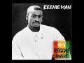 BEENIE MAN - BLESSED (1995)