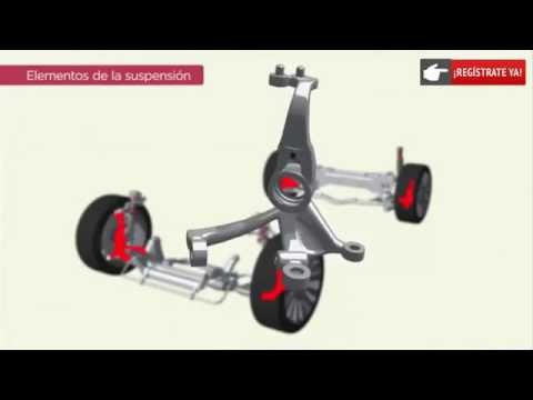 La suspensión y la amortiguación