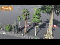 Tree Size Comparison