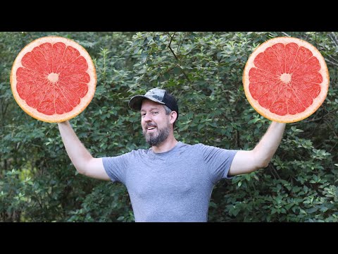 How to Grow Grapefruit Seeds [Without Killing Them]