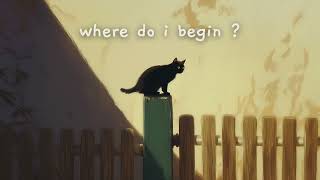 where do i begin?