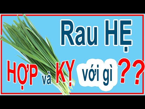 Canh nấm gặp bông hẹ