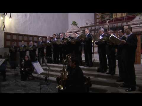 O quam amabilis(Palestrina).flv