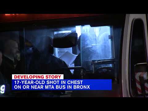 Teen shot in the chest in the Bronx