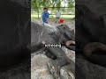 This Elephant Painted Me A Masterpiece