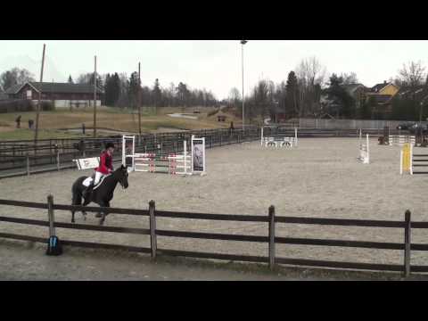 D-stevne østern 14-15 april m. Inca