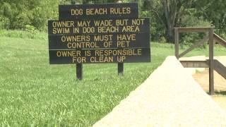 Health Department warns about the dangers of blue-green algae 8-30-12
