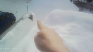 行者ニンニクの増殖を試みようとする吹雪