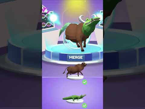Animals Attack