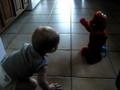 Carter Elmo