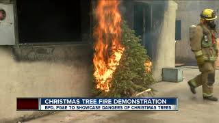 Christmas tree fire demonstration