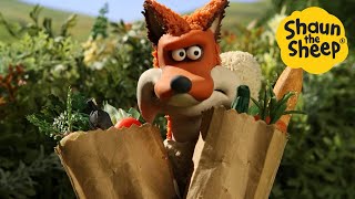 Download lagu Shaun the Sheep 🐑 Fox goes shopping  - Cartoons for Kids 🐑 Full Episodes Compilation [1 hour] mp3