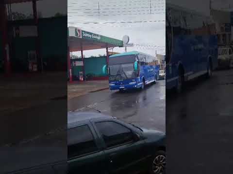 criador de conteúdo 🚌🚌😎 barras Piauí