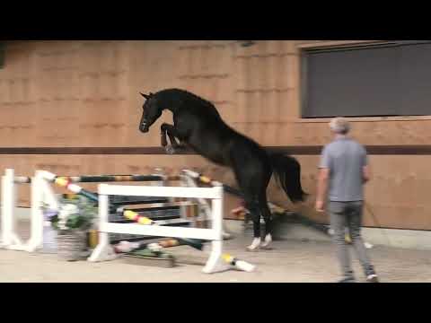 Tialitha video 1