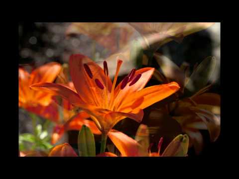 Im Rausch der Farben (2012)