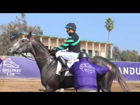 Breeders cup 2021.  BIG SWITCH wins the Golden State Juvenile fillies stakes 7f