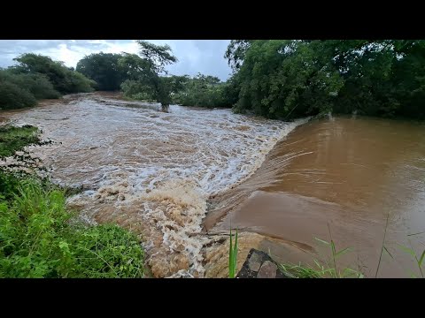 ENCHENTE NA BARRAGEM DE PRISELINA MUNICÍPIO DE CATURAMA BAHIA #bahia #nordeste #sertão