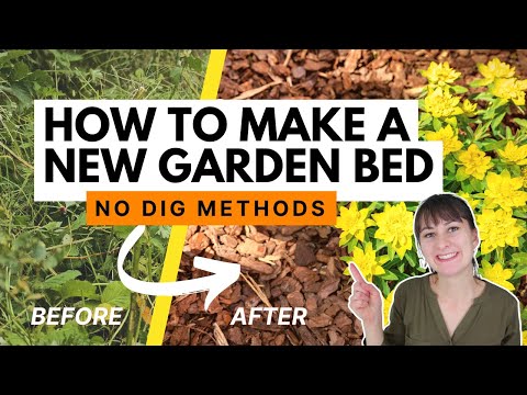 Easy recipes for creating a new garden bed WITHOUT DIGGING 🪴 Lawn Removal Part 1
