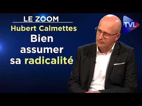 Le guide marketing du dissident - Le zoom - Hubert Calmettes