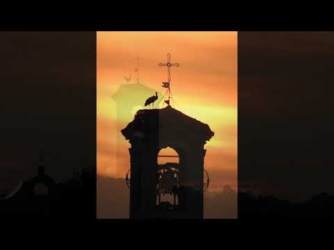 Cicogne a Valera Fratta "il Ciclo della Vita"