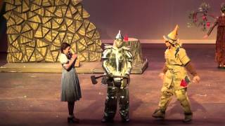 If I Only Had a Heart - The Wizard of Oz