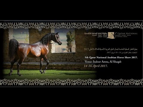 5th Qatar National Arabian Horse Show for Individual Owners 2017 - DAY 3