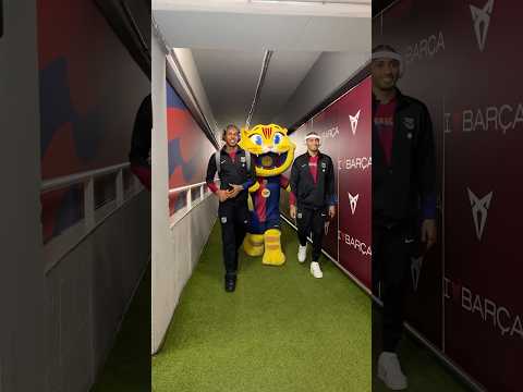 Cat is in da house 😽 #fcbarcelona #shorts #cat