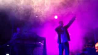 Casino Royale - Ogni singolo giorno live@TheJungle Cascina 12/07/13