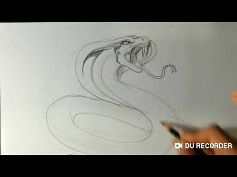 Vẽ rắn Hổ Mang MAX ngầu với vận tốc 2x /Tranh Đẹp TV/