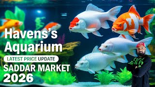 Download lagu Rare & Exotic Koi Fish Sale 2026 🚨 | Big Koi Discounts at Saddar Aquarium Market mp3