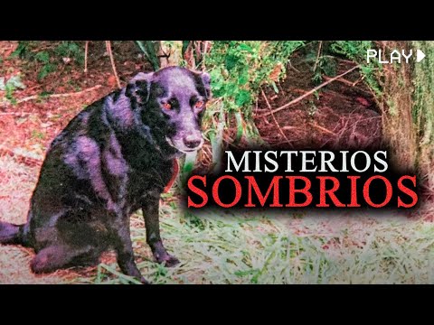 Mistérios Bizarros Sem Solução