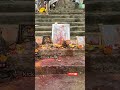 Omnamahshivay Pathalaganga Srisailam Shiva Lordshiva Shorts Monday Srisailamtemple Temple