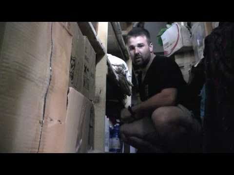 Romania: Day 71 - Lost in Translation