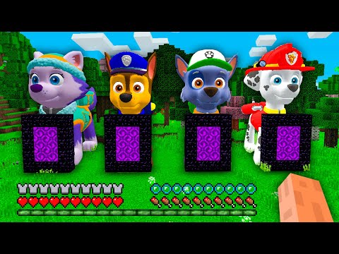 I Found PORTAL INSIDE PAW PATROL MARSHALL and CHASE and EVEREST and ROCKY in Minecraft !