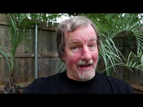 Bytes & Nibbles-Cheeseburger Pie Revisited-Kicking It...