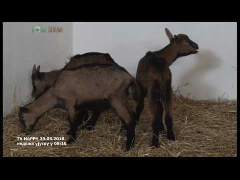 Bolja zemlja za 29.05.2016.