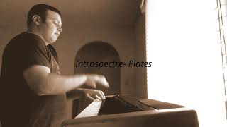 Introspectre- Plates Piano Cover