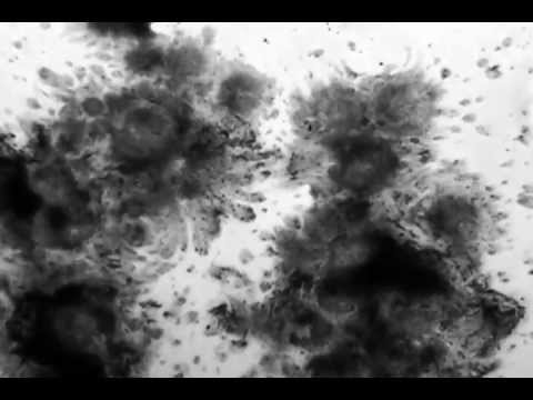 Robert Manos - Madness