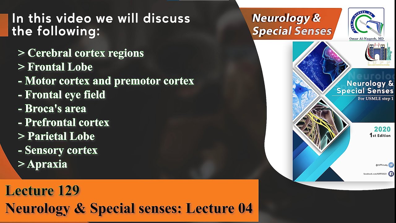 Motor cortex || Frontal eye field || Broca's area || Prefrontal cortex || Parietal Lobe || Apraxia