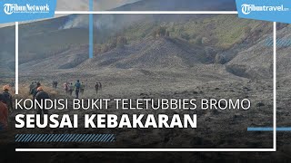 Kondisi Bromo seusai Kebakaran gegara Flare Foto Prewedding, Savana Gosong