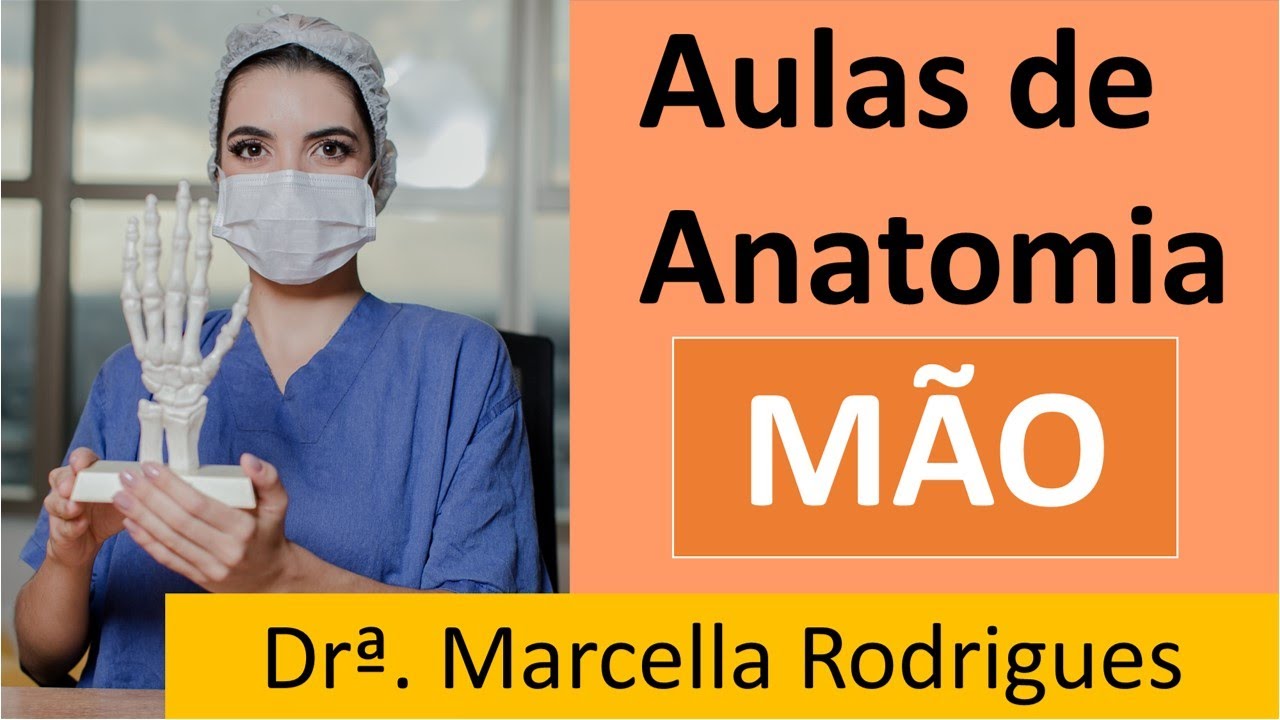 Aulas de Anatomia: Anatomia Mão - Parte 1