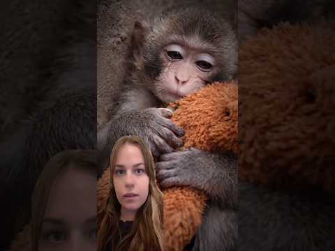 APAN BLEV MOBBAD OCH OVH UTSTÖTT AV SIN MAMMA😭🤬