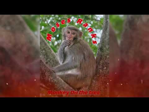 Moses Ranks - Monkey on the Tree (Soca 2024)