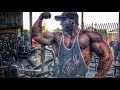 STANIMAL: Vlog à 29j du FERRIGNO: BRAS avec SUPER FEHD