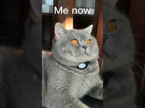 Time flys when your enjoined it 😭🥹#fred