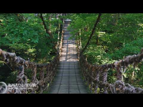 【福井の風景・池田町】かずら橋